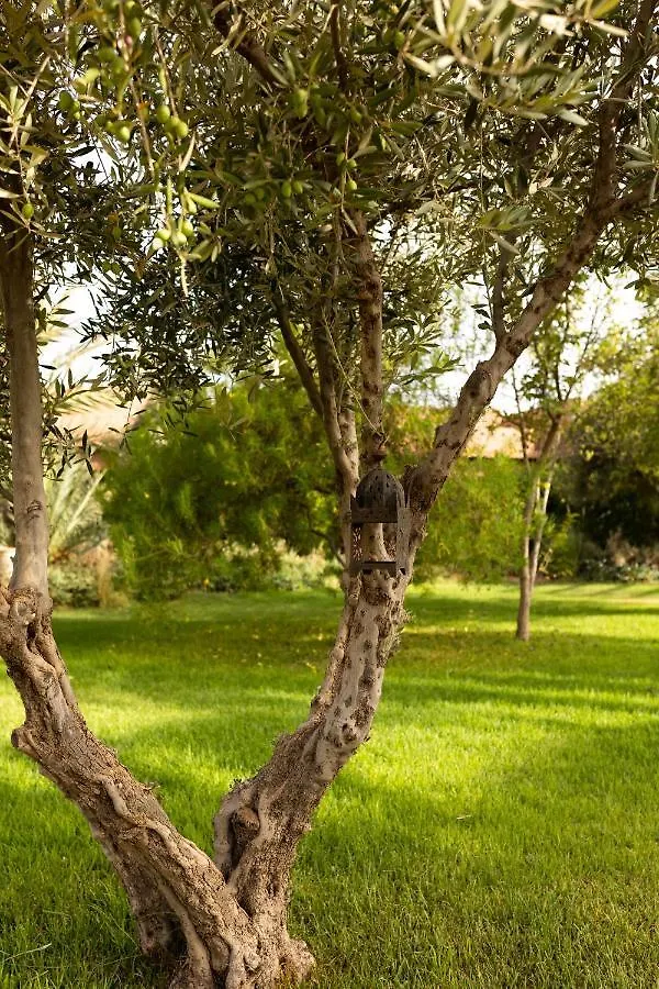 Domaine Des Remparts Hotel&Spa Marrakesh